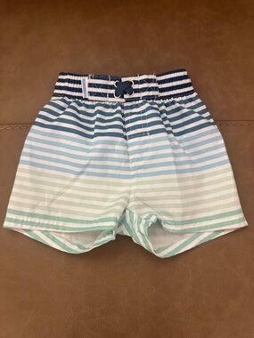 Kids Blue & Green Striped Swim Trunks